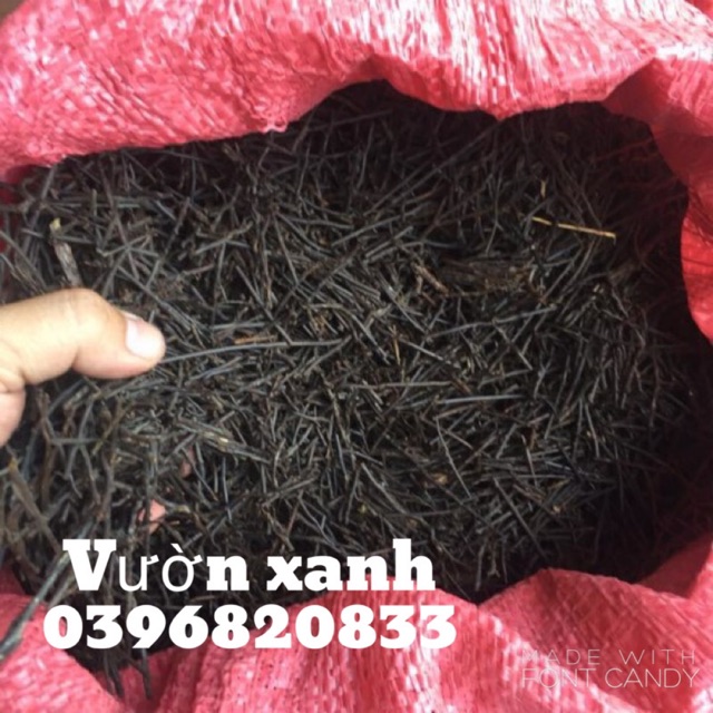 Dớn cọng trồng lan 100gr ( thoáng, giư ẩm tốt, ít mục)
