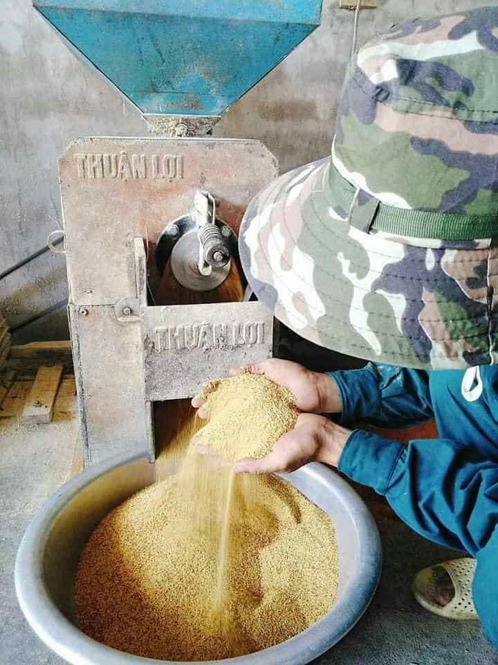 1kg kê nếp vàng nghệ an