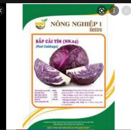 Hạt Giống Bắp Cải Tím Gói 2 Gram