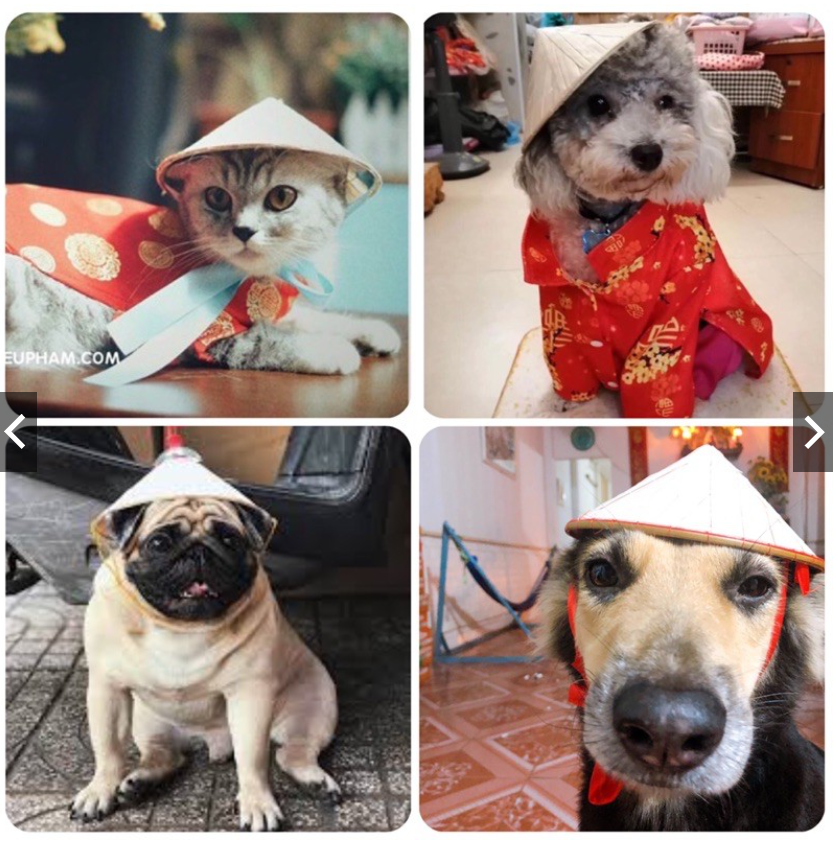Nón Lá Việt Nam cho thú cưng chó mèo