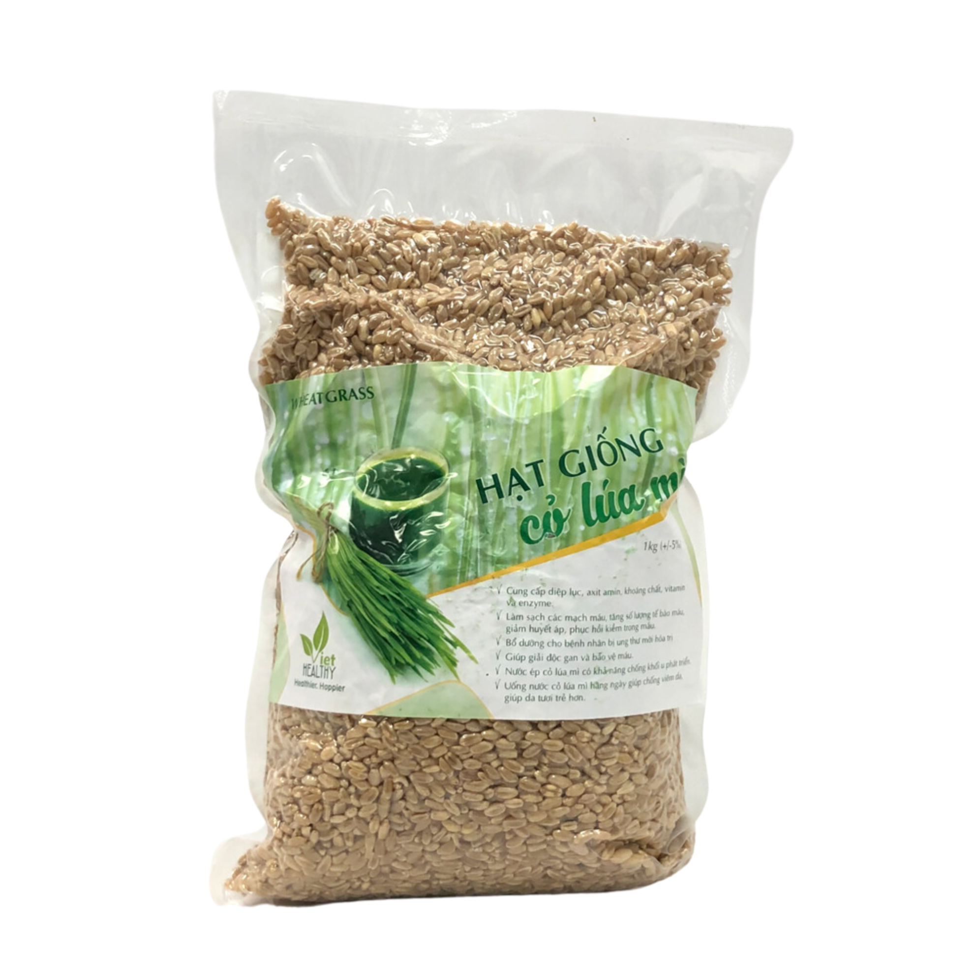 Hạt giống cỏ lúa mì 1kg