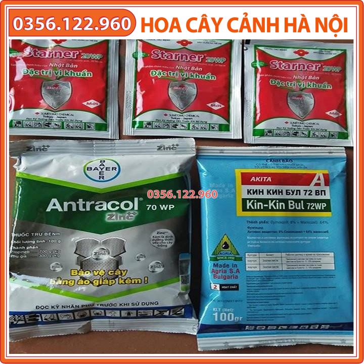 Bộ 3 chống thối nhũn, vi khuẩn phong lan 1 Antracol +3 stanner + 1 kil kil bul