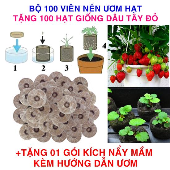 Bộ 100 viên nén ươm hạt (tặng 100 Hạt giống Dâu tây đỏ + Kích thích nẩy mầm, Hướng dẫn)