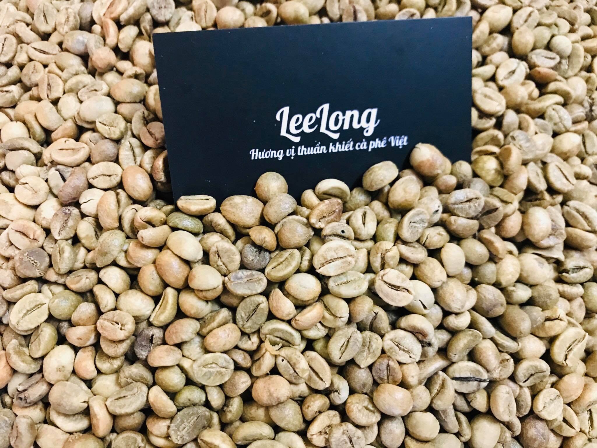 Cà phê nhân sống chưa rang Robusta Đắk Lắk - Arabica Cầu Đất