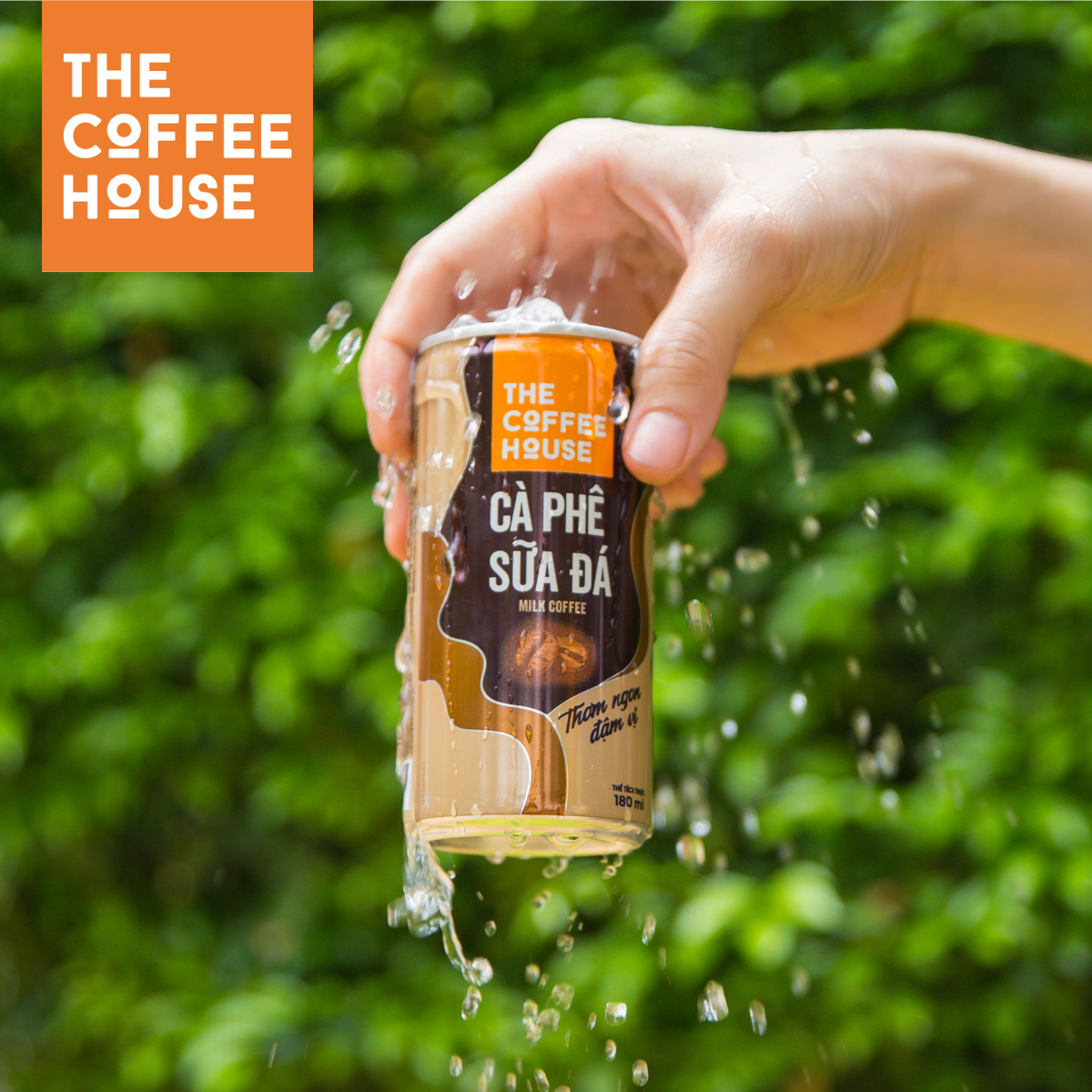 The Coffee House cà phê sữa đá lon (Thùng 24 lon, 180ml/lon)