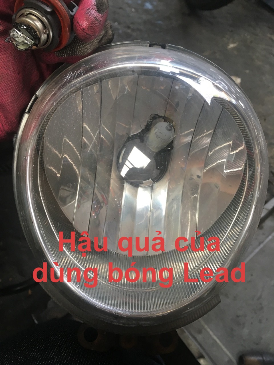 Bóng đèn pha trước Scoopy, Crea 50cc Nhật bãi