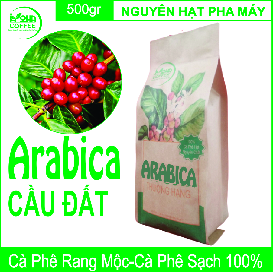 500gr  Cà Phê Hạt Arabica Đà Lạt Rang Mộc Dạng Hạt Pha Máy -LOHA COFFEE
