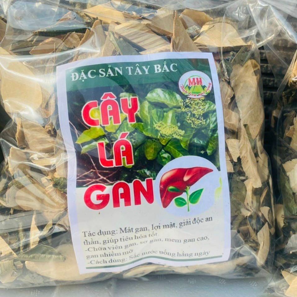 Cây lá gan rừng Tây Bắc loại 1 giúp giải độc gan, hạ men gan, hỗ trợ xơ gan, viêm gan B, gan nhiễm mỡ