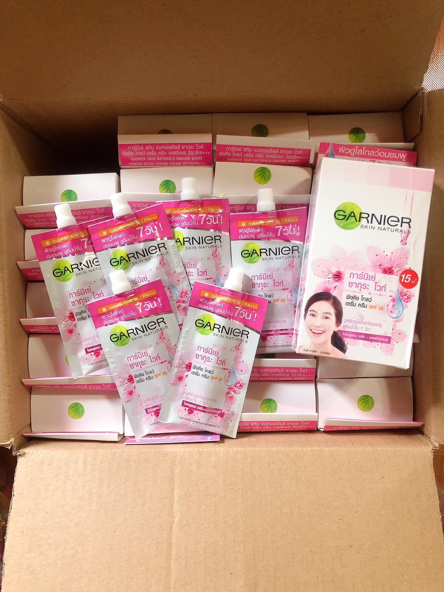 Box of 6 Garnier Skin Care Packs