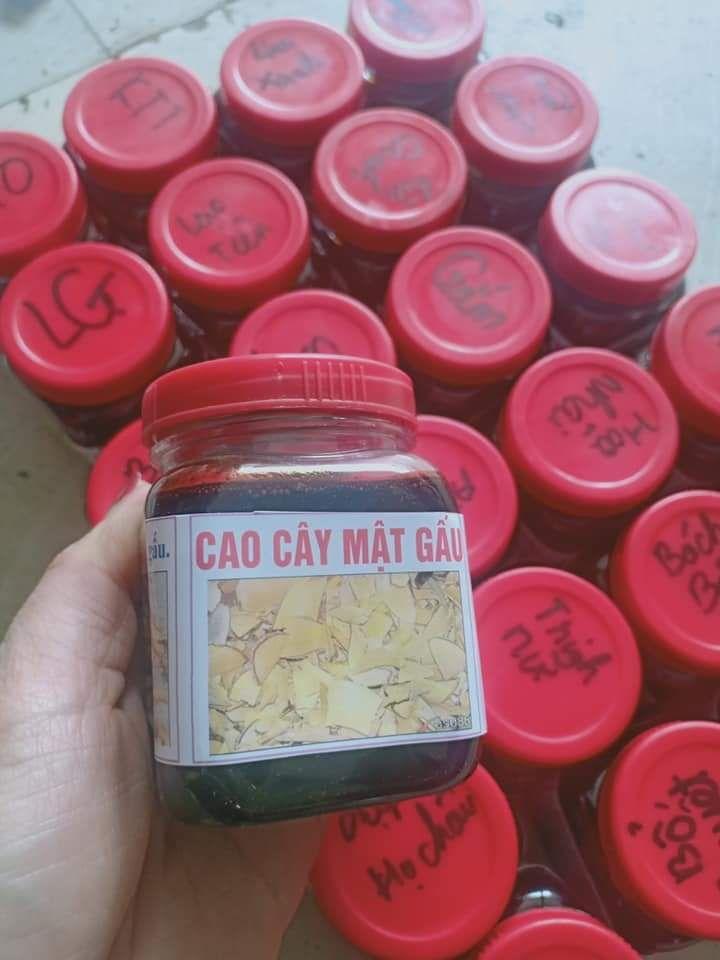 cao cây mật gấu