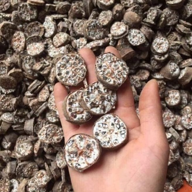 Sỉ toàn quốc 3kg chuối hột rừng thái lát