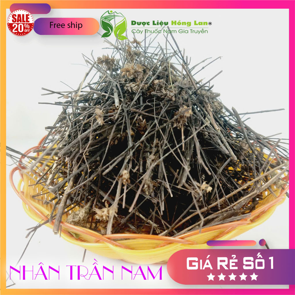 ✅ 1kg Cây Nhân Trần Nam khô sạch