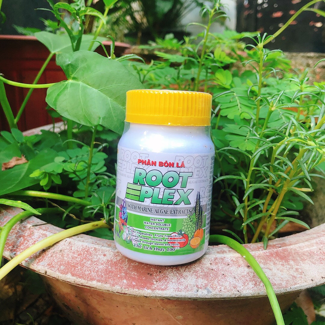 [HCM]Phân bón lá cao cấp Rootplex chiết xuất từ Tảo biển