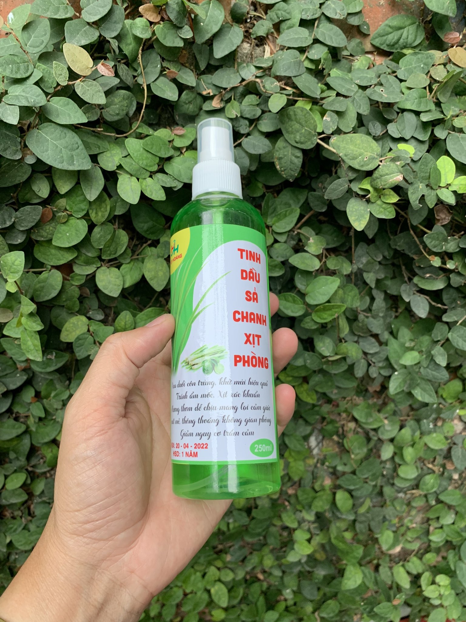 Tinh dầu sả/ Sả chanh