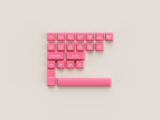 AKKO Keycap set – Prunus Lannesiana (PBT Double-Shot/ASA Low profile/155 nút)