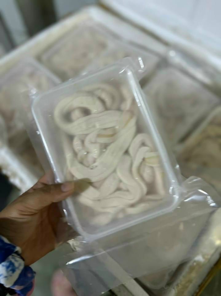 Tuỷ Bò hộp 500gr (giao tphcm)