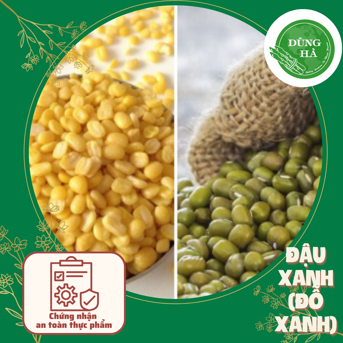 Đậu xanh chất lượng trồng giá đỗ, chế biến chè