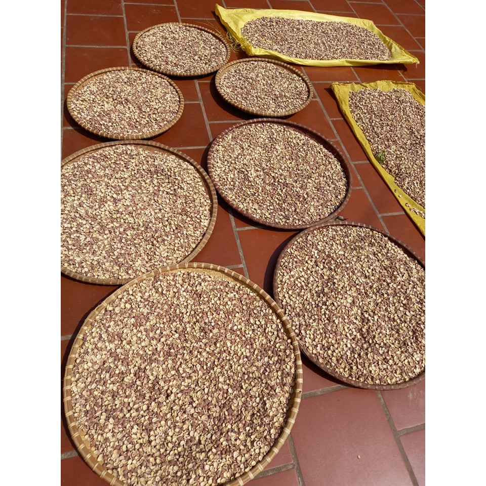 Hạt Sen khô Lứt Nguyên Hạt - Còn nguyên Vỏ Lụa 500gr