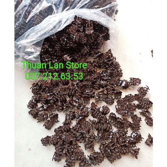 Set 100c Kẹp Bướm Cố Định Lan Size Nhỏ