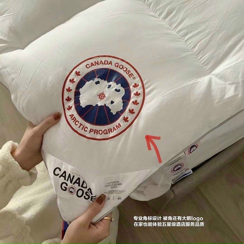 chăn bông lông vũ canada goose 2mx2m3 nhập khẩu
