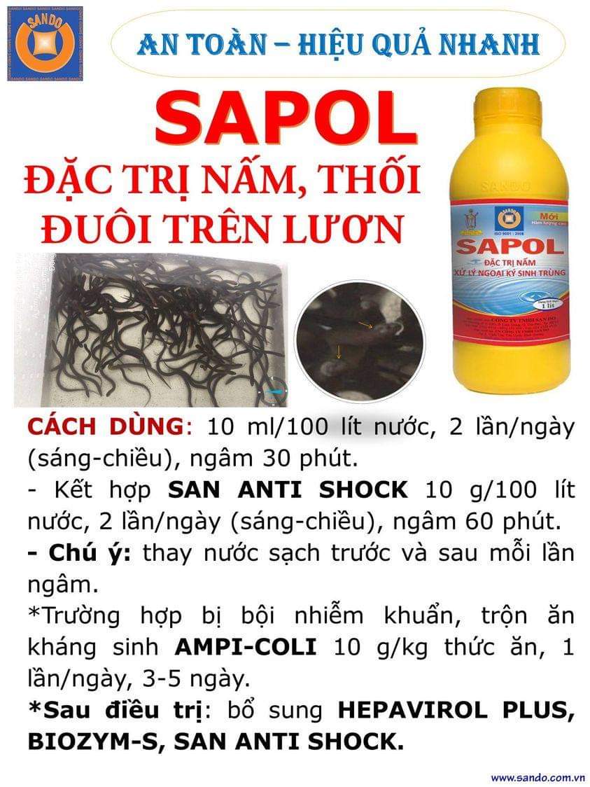 DIỆT NẤM SAPOL [MUA 10 TẶNG 1][SANDO]