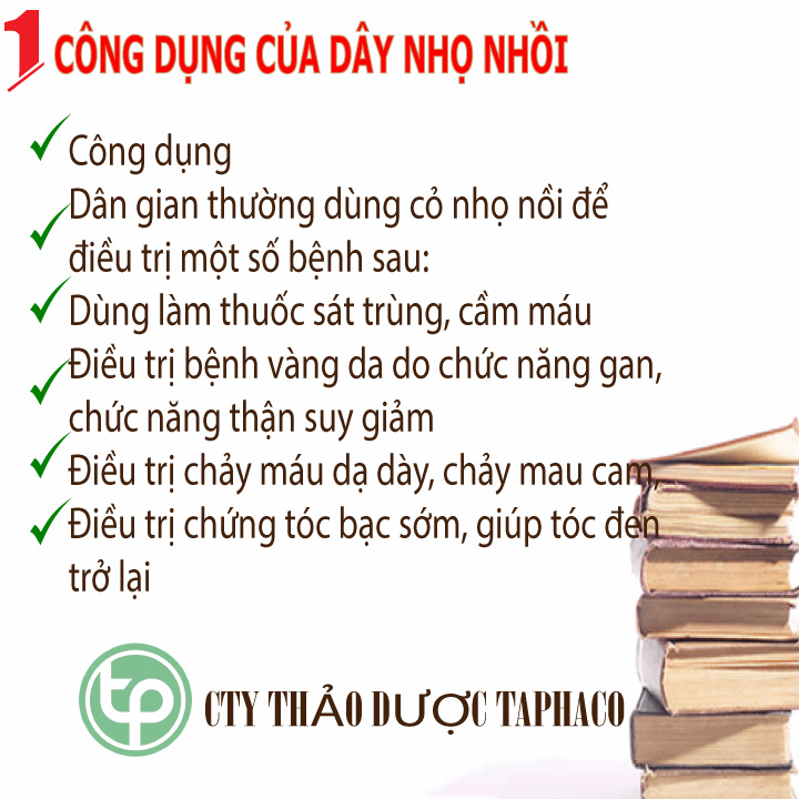 Cỏ mực sấy khô 500g - Hàng công ty chất lượng cao - Hỗ trợ cải thiện sức khỏe - Thảo Dược Tấn Phát