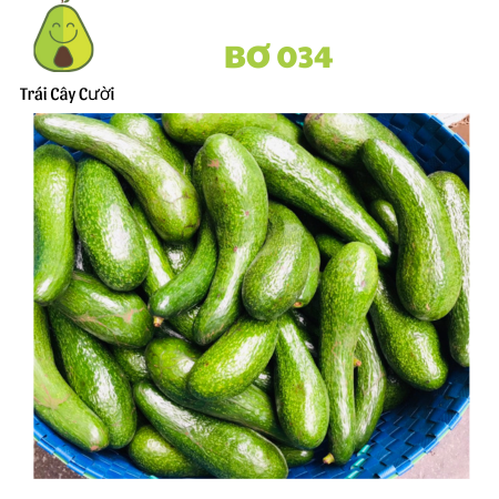 [HỎA TỐC HCM] Bơ  034 tươi ngon cực dẻo (3,4,5 trái )- 1kg - thơm ngon bổ dưỡng - Trái Cây Cười -