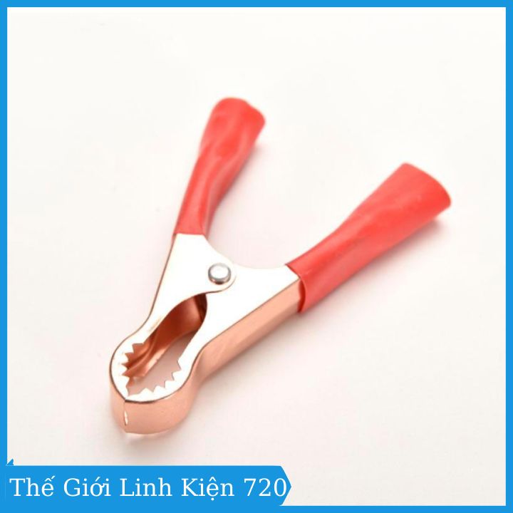 Kẹp bình ắc quy to 8cm ( 1 Đỏ - 1 Đen )