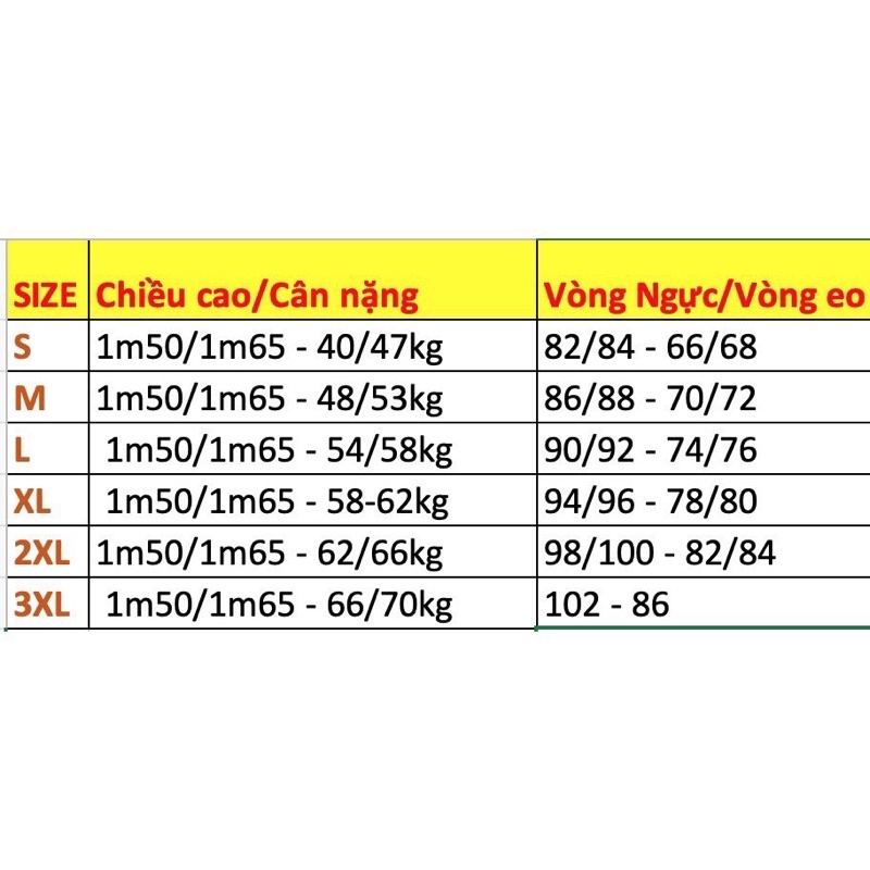 SET ÁO DÀI CÁCH TÂN CT05