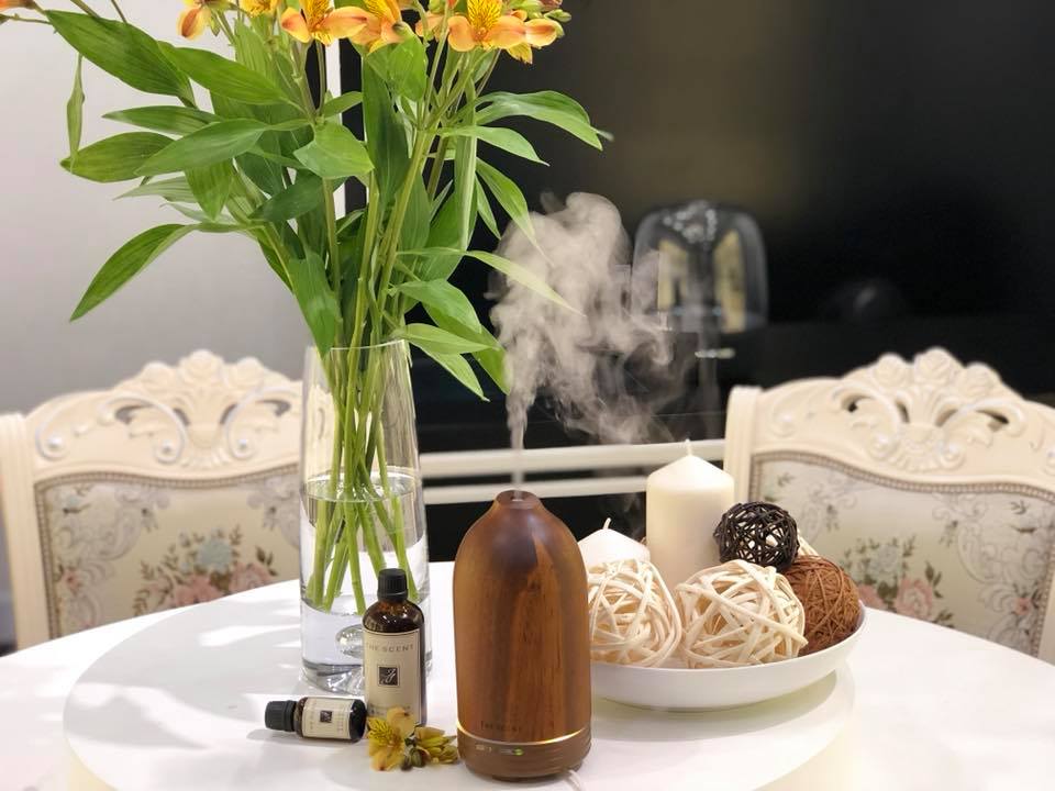 Máy khuếch tán tinh dầu siêu âm gỗ TS2113 - The Scent