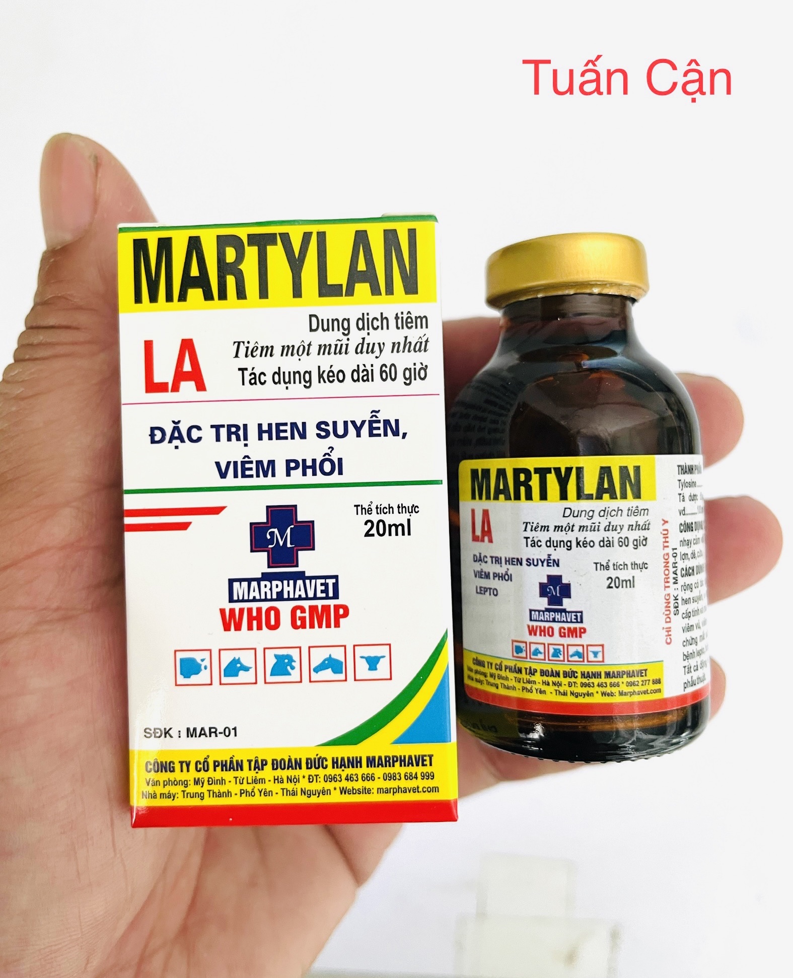 MarTylan LAHen khẹc, khò khè, ho thở, hong lỵ, viem phôi