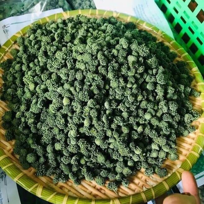 1kg nụ tam thất bao tử