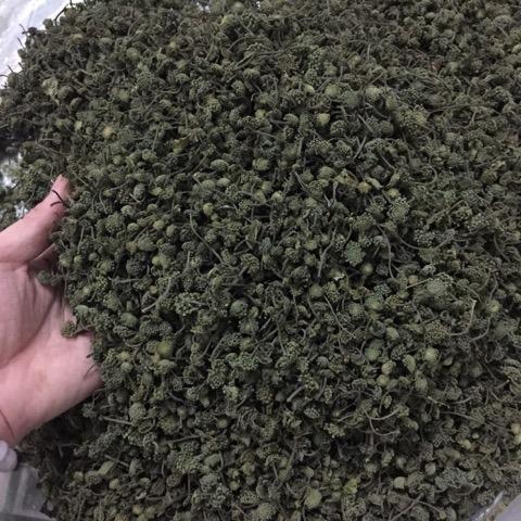 NỤ HOA TAM THẤT KHÔ (NỤ HOA BAO TỬ) 500G