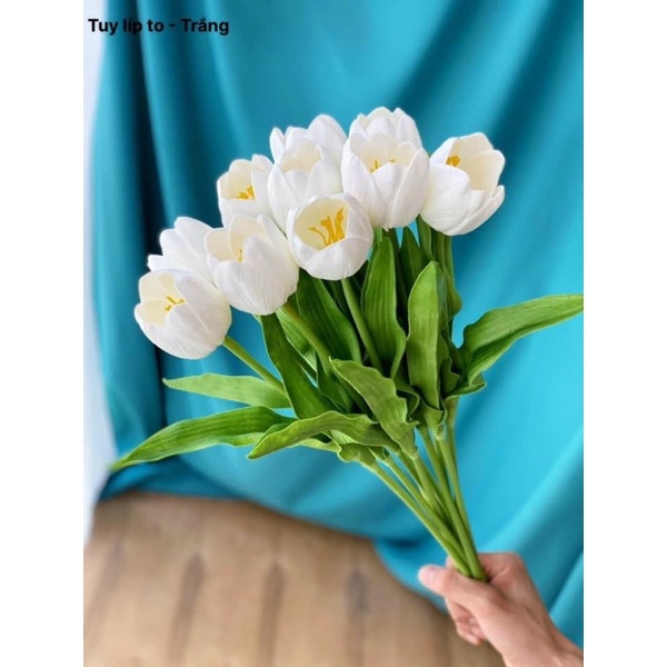 Hoa tuy líp cành dài 50cm, hoa giả hoa tulip