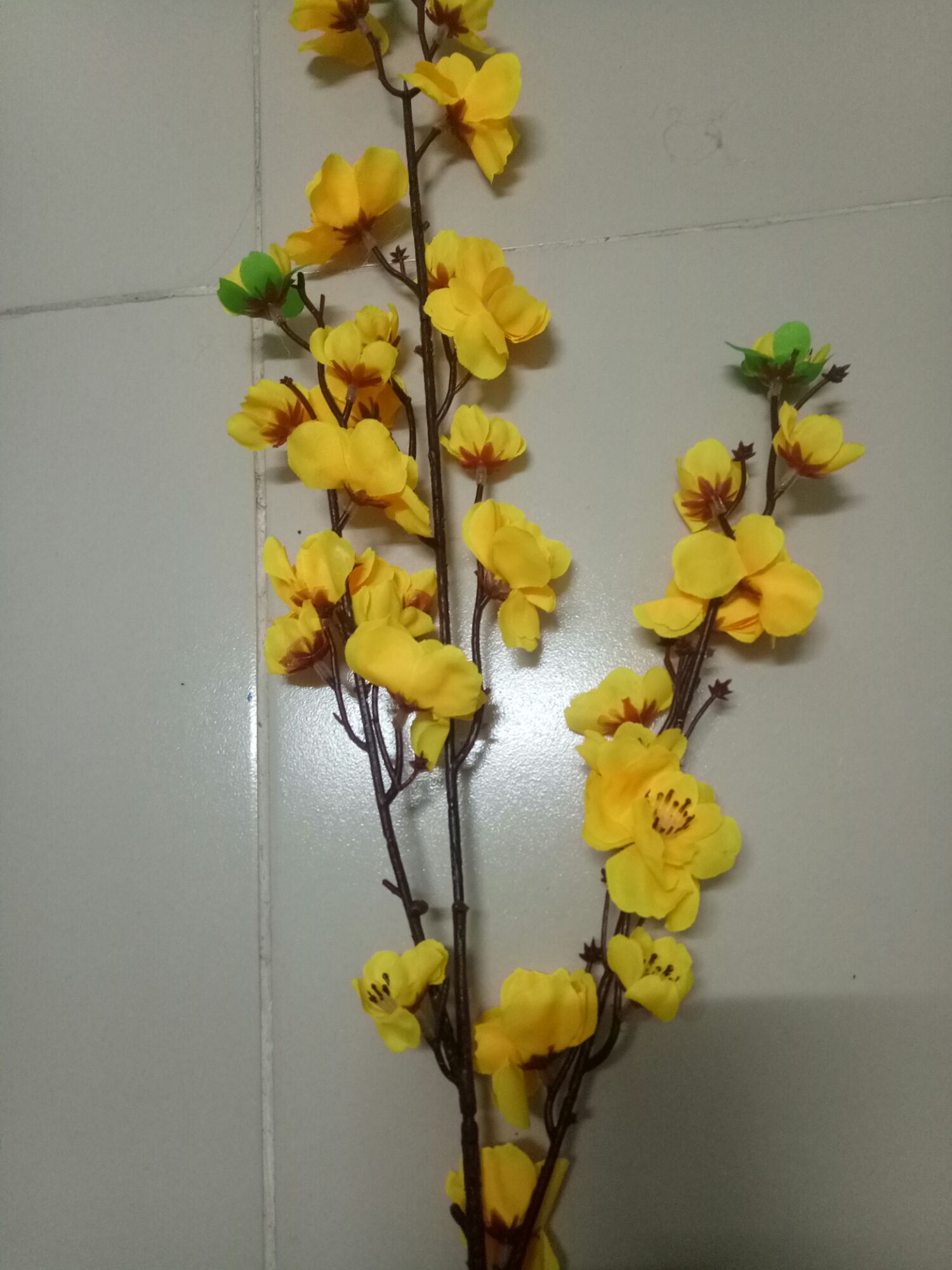 5 cành hoa mai -70 cm
