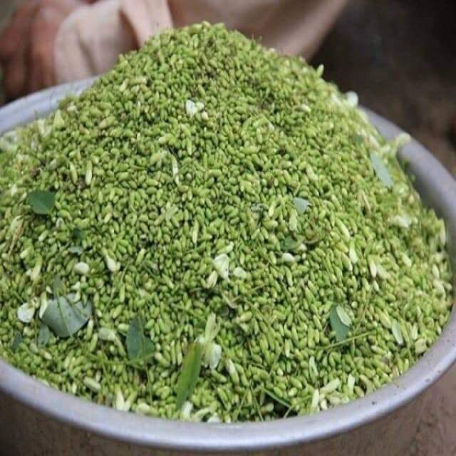 cây hoa hèo giống tốt cho sức khẻo