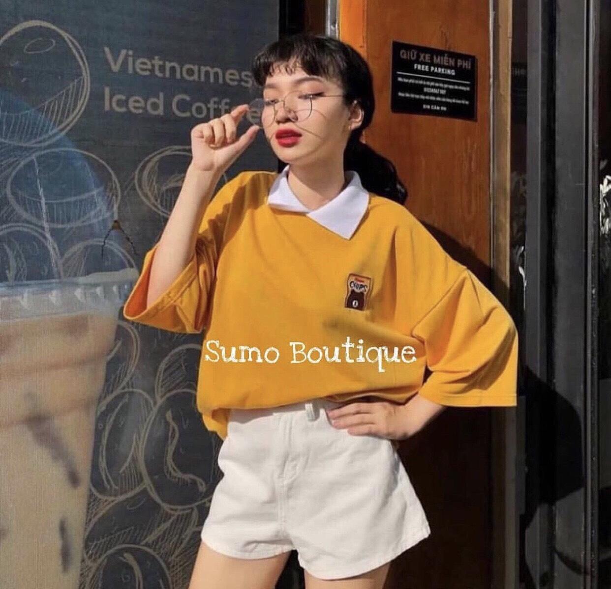 Áo Thun Tay Lỡ Có Cổ In Hình Gấu Brown Cute TTS0445