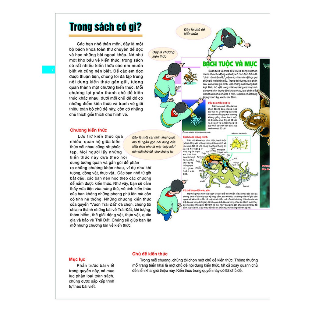 Sách - Bách Khoa Tri Thức Bằng Hình Cho Trẻ Em (Bìa Mềm)