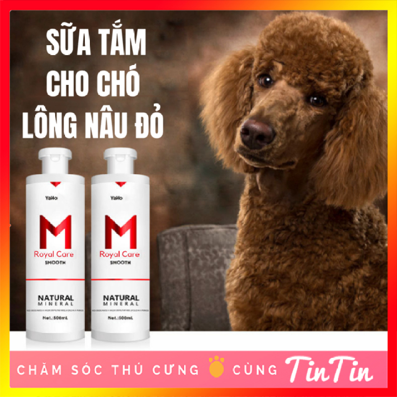 Sữa tắm Nước Hoa Khử Mùi M Royal Care Cho Chó Lông Poodle và Lông Nâu Đỏ 500ml