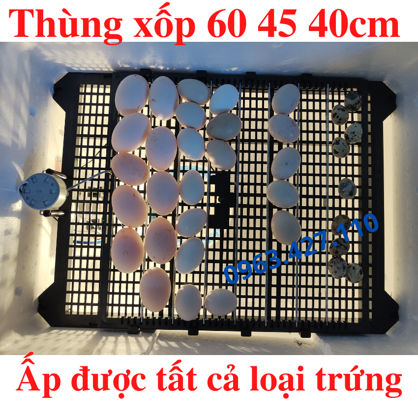 Bộ máy ấp trứng tự động
