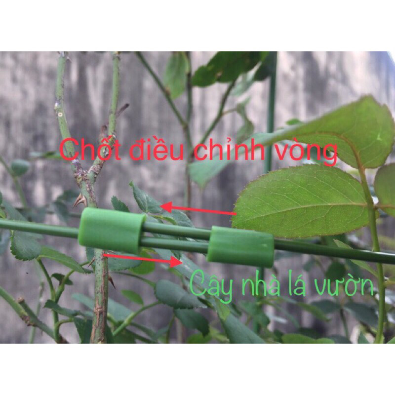 Khung đỡ hoa hồng, dây leo 45cm/60cm