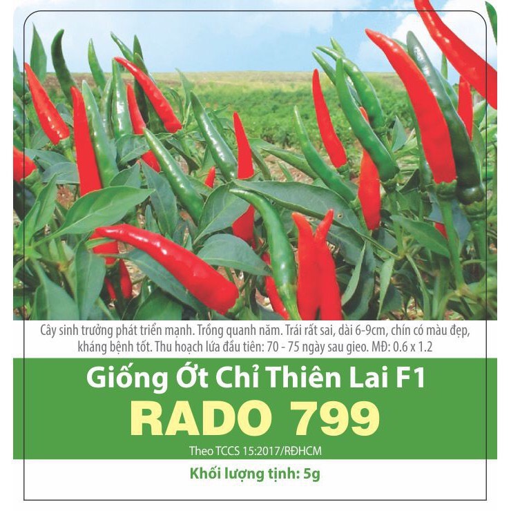 Rd giống ớt chỉ thiên 799