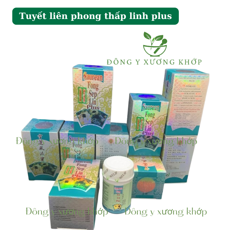 Tuyết Liên Phong Thấp Linh Plus 30v