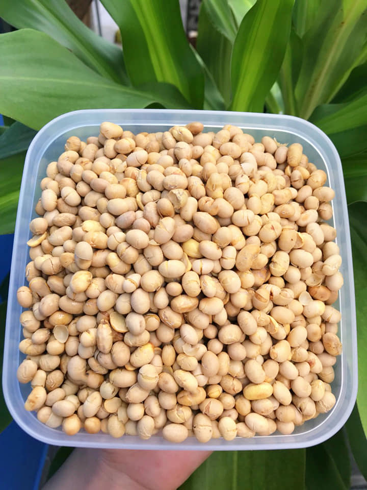 Đậu nành sấy ( bổ dưỡng sức khỏe ) 500G