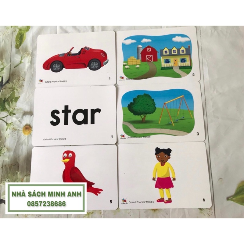 Flashcard OXFORD PHONICS WORLD 5-96 thẻ (khổ A5-cán bóng)