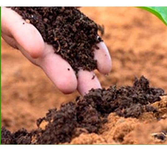 PHÂN BÒ LAVAMIX ĐÃ QUA XỬ LÝ 10 DM3