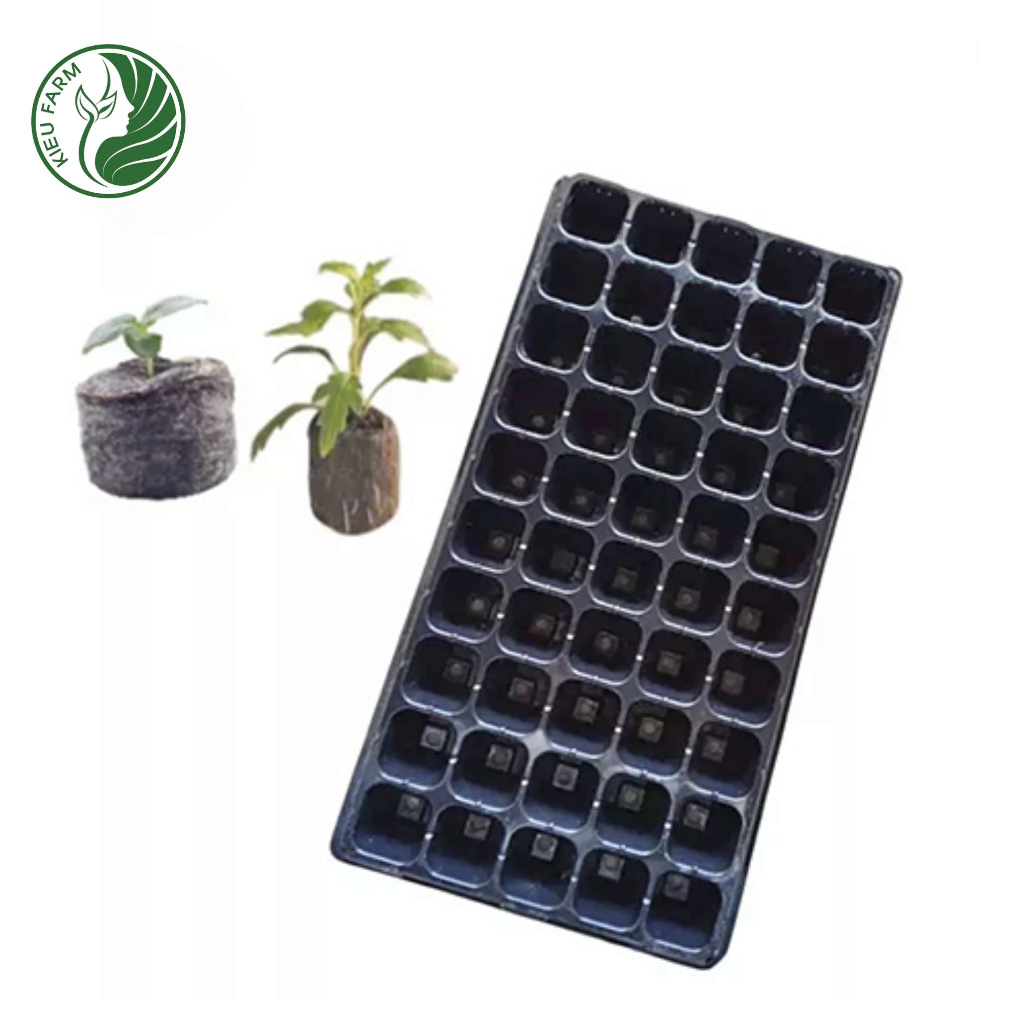 Combo 5 khay nhựa ươm hạt (loại 50 lỗ)
