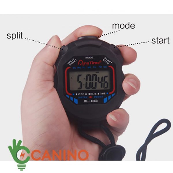 Đồng Hồ Bấm Giờ Thể Thao XL-009A