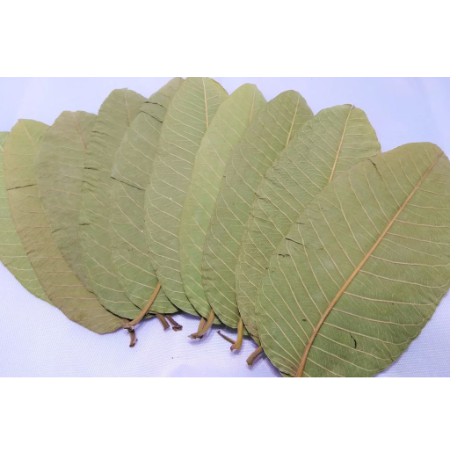 1kg lá ổi khô hàng looại 1