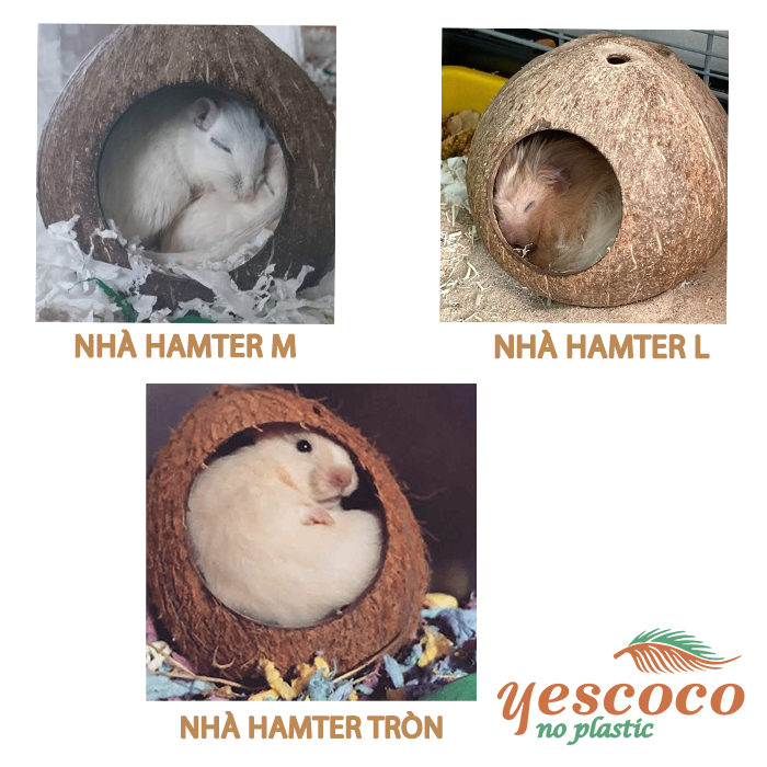 Hang Hamster gáo dừa tròn Yescoco Xưởng SX